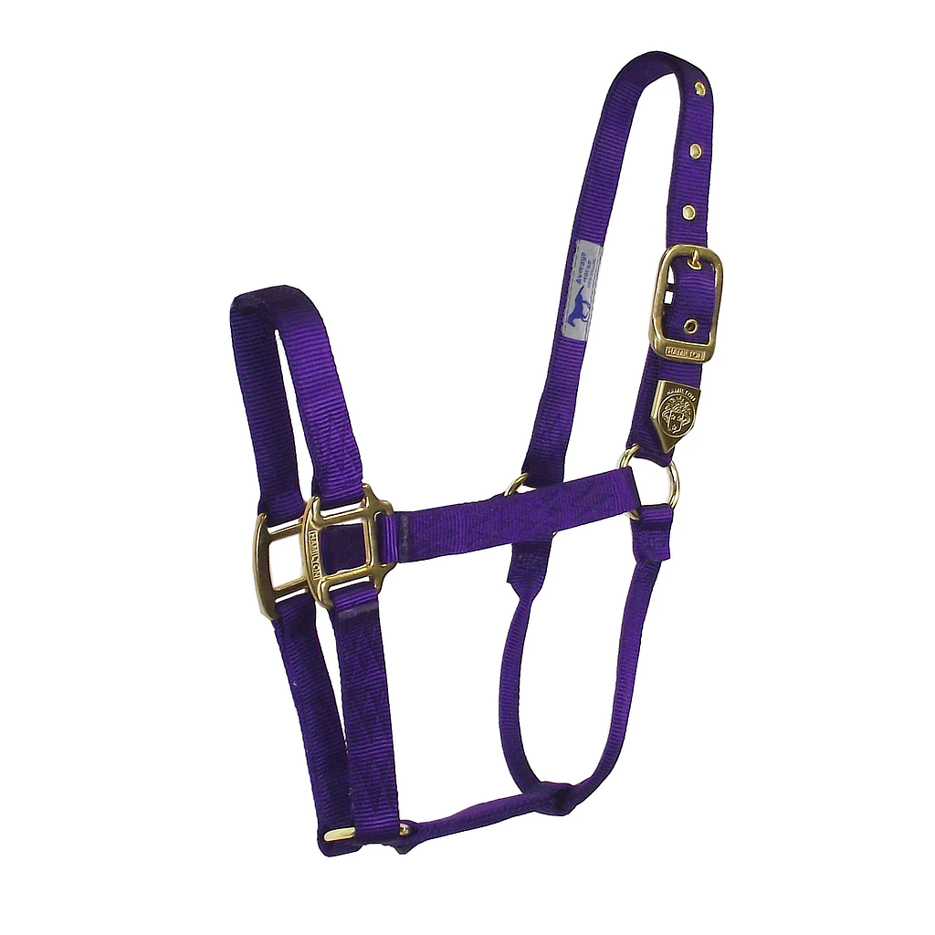 Gamarron Quality Morado Average 800-1100 Lb
