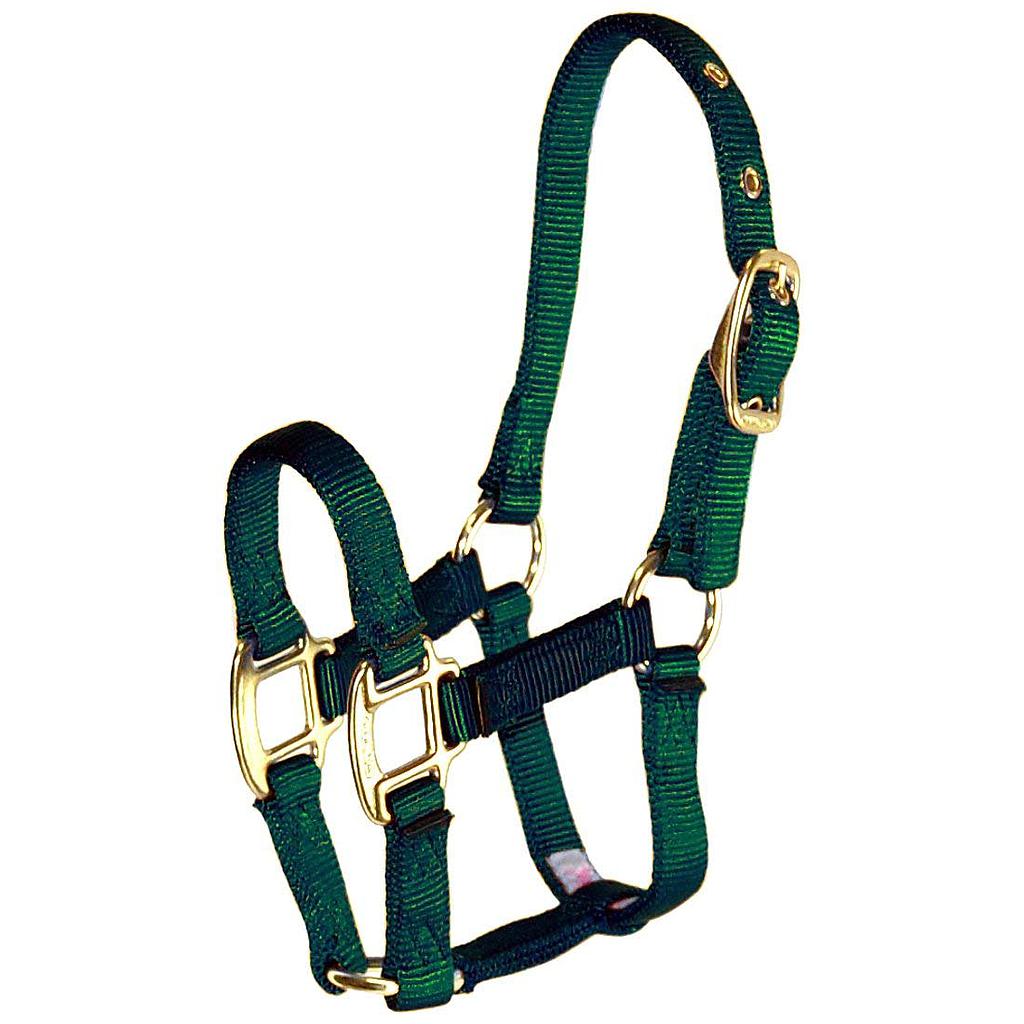 Gamarron Quality Verde Foal 100-200 Lb