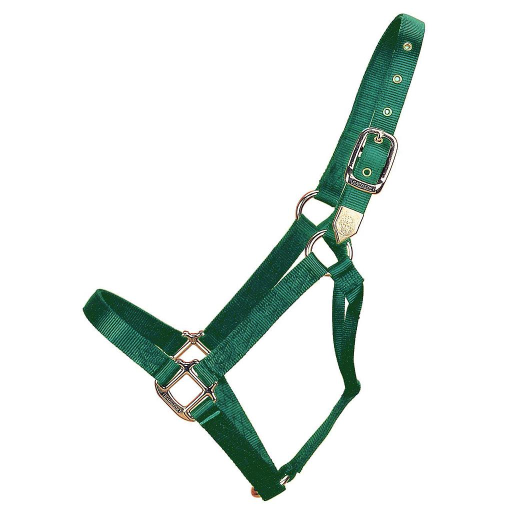 Gamarron Quality Verde Yearling 300-500 Lb