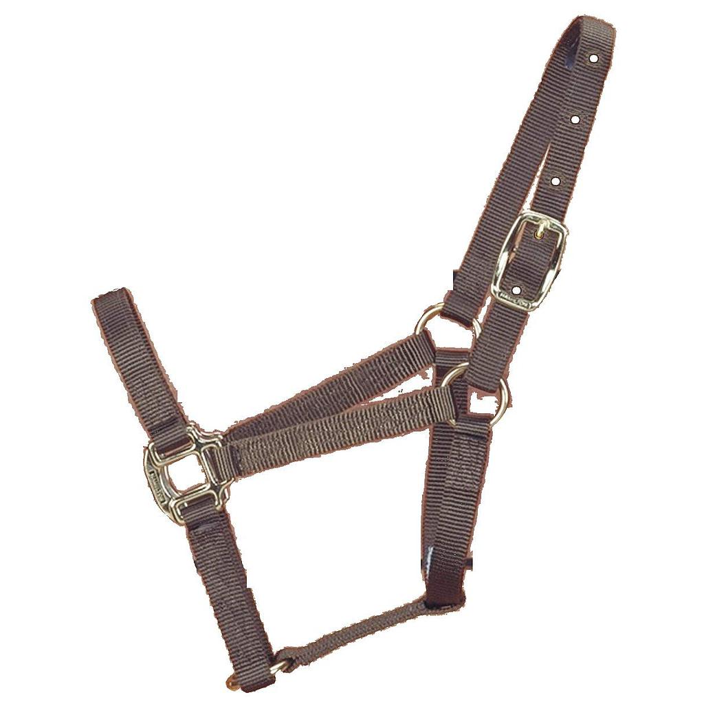 Gamarron Quality Cafe Weanling 200 - 300 Lbs