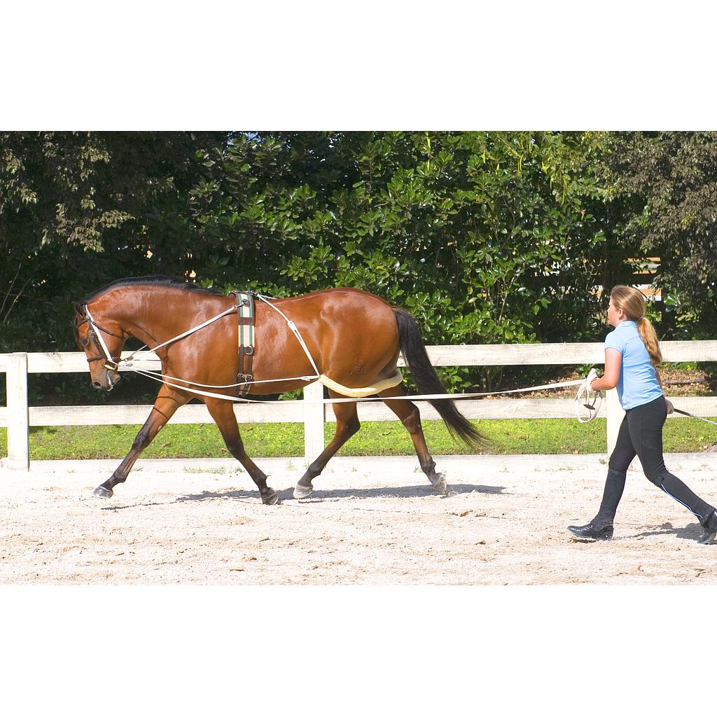 Sistema de Entrenamiento Pessoa Talla Horse