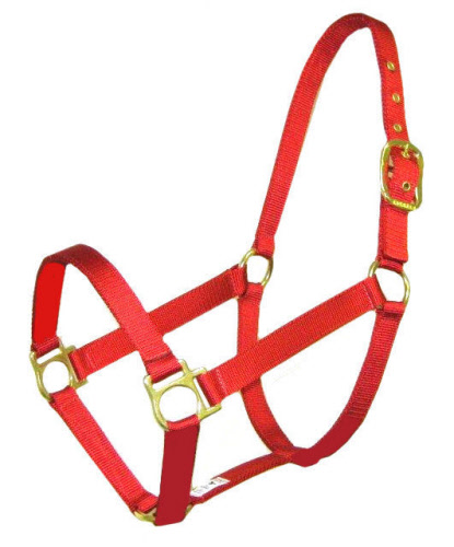 Gamarron Quality Rojo Weanling 200-300 