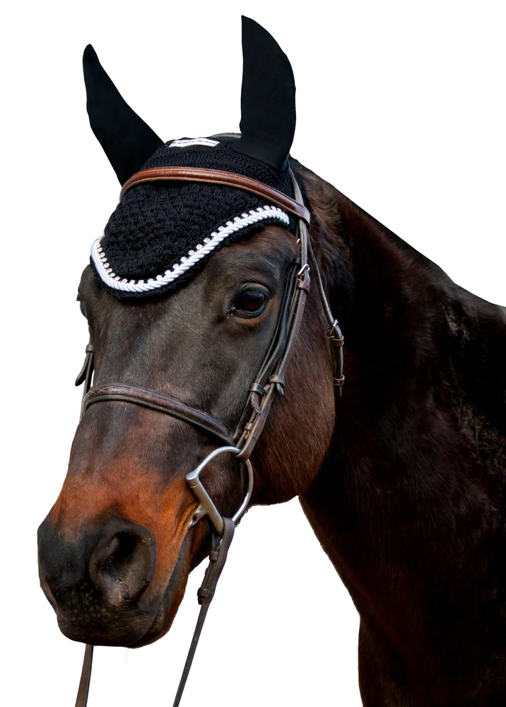Orejera Equine Couture Talla Full