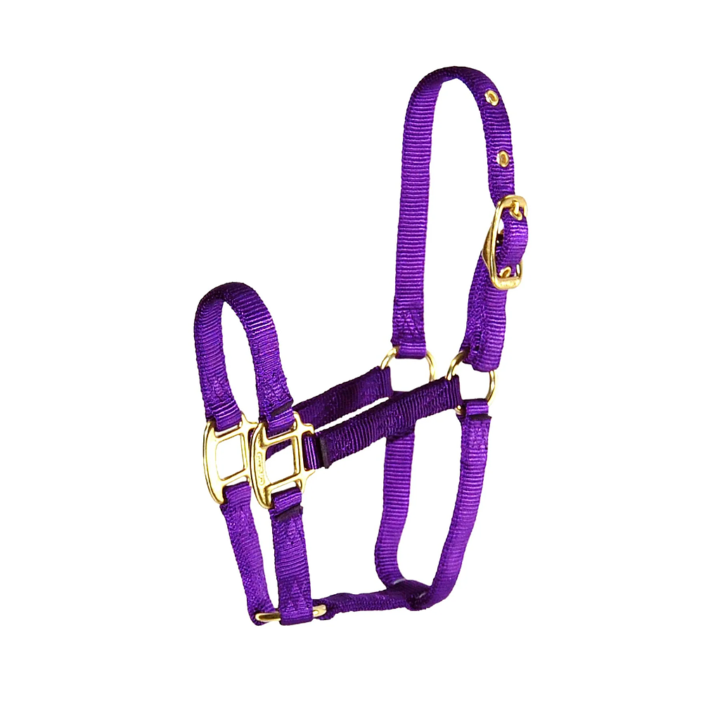 Gamarron de Nylon Color Morado Talla Pony