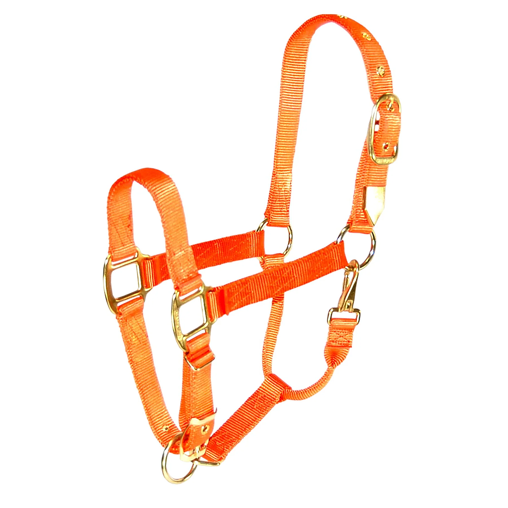 Gamarron de Nylon con Broche Ajustable Color Naranja Talla Average